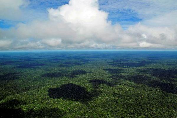 Panor&acirc;mico Floresta Amaz&ocirc;nica